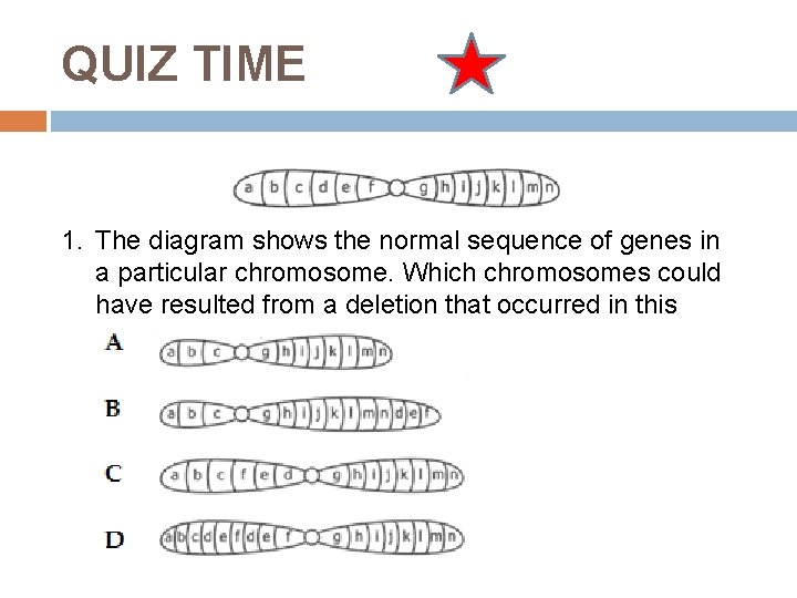 QUIZ TIME 1. The diagram shows the normal sequence of genes in a particular