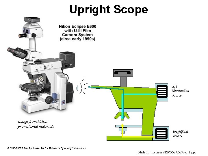 Upright Scope Epiillumination Source Image from Nikon promotional materials Brightfield Source 1993 -2007 J.