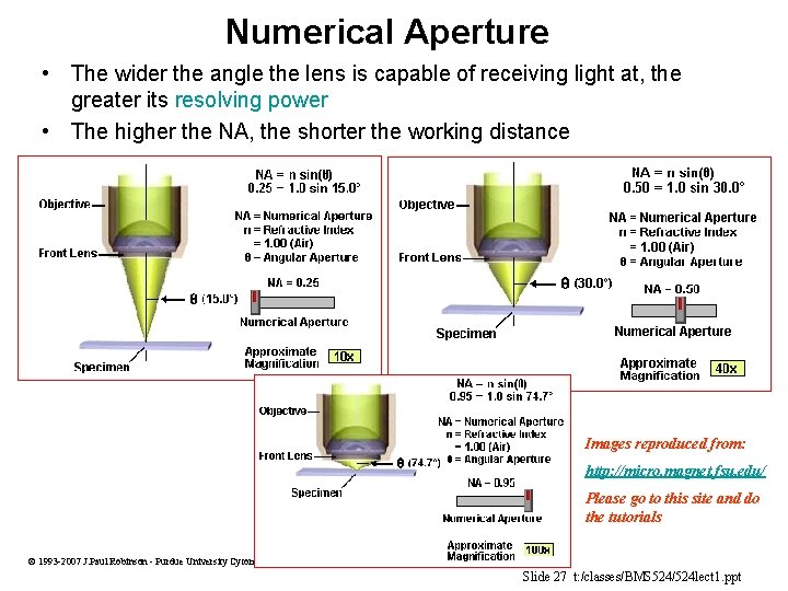 Numerical Aperture • The wider the angle the lens is capable of receiving light