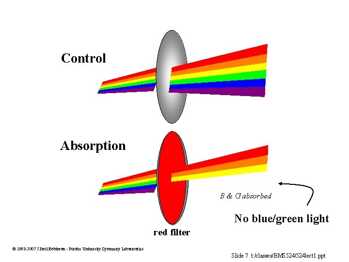 Control Absorption B & G absorbed No blue/green light red filter 1993 -2007 J.