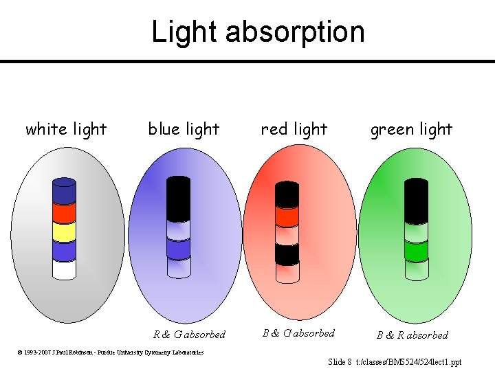 Light absorption white light blue light R & G absorbed red light green light