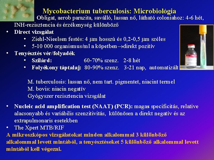 Mycobacterium tuberculosis: Microbiológia • : Obligat, aerob parazita, saválló, lassan nő, látható coloniahoz: 4