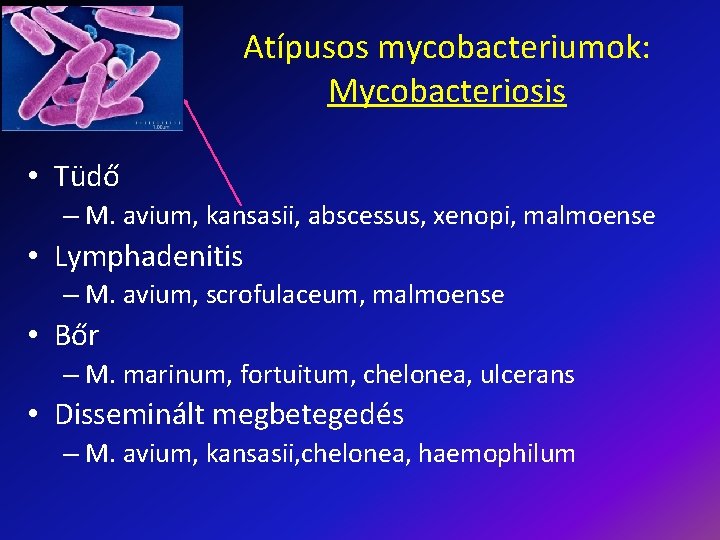 Atípusos mycobacteriumok: Mycobacteriosis • Tüdő – M. avium, kansasii, abscessus, xenopi, malmoense • Lymphadenitis