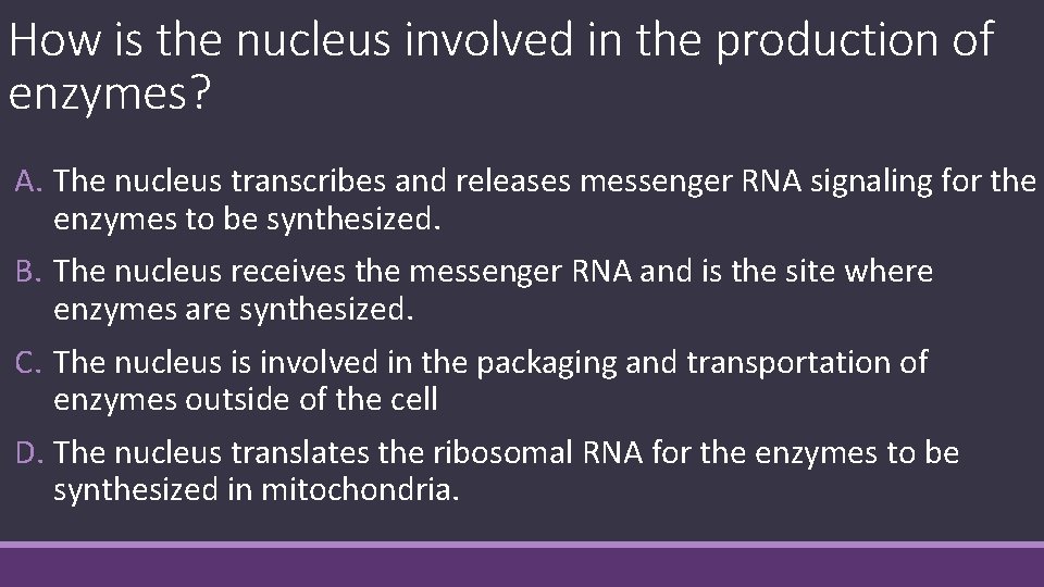 How is the nucleus involved in the production of enzymes? A. The nucleus transcribes