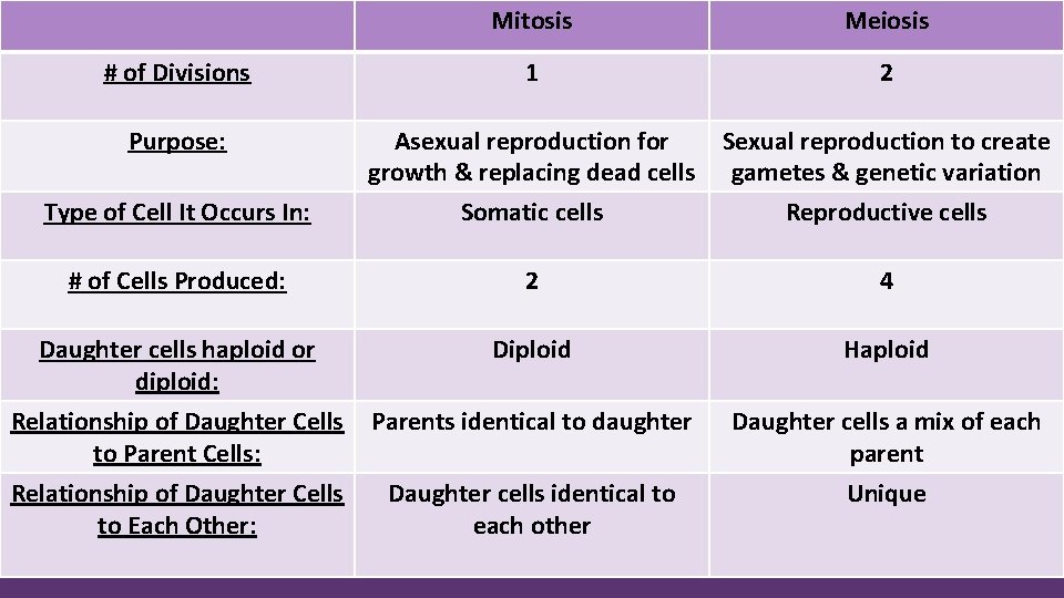 Mitosis Meiosis # of Divisions 1 2 Purpose: Asexual reproduction for growth & replacing