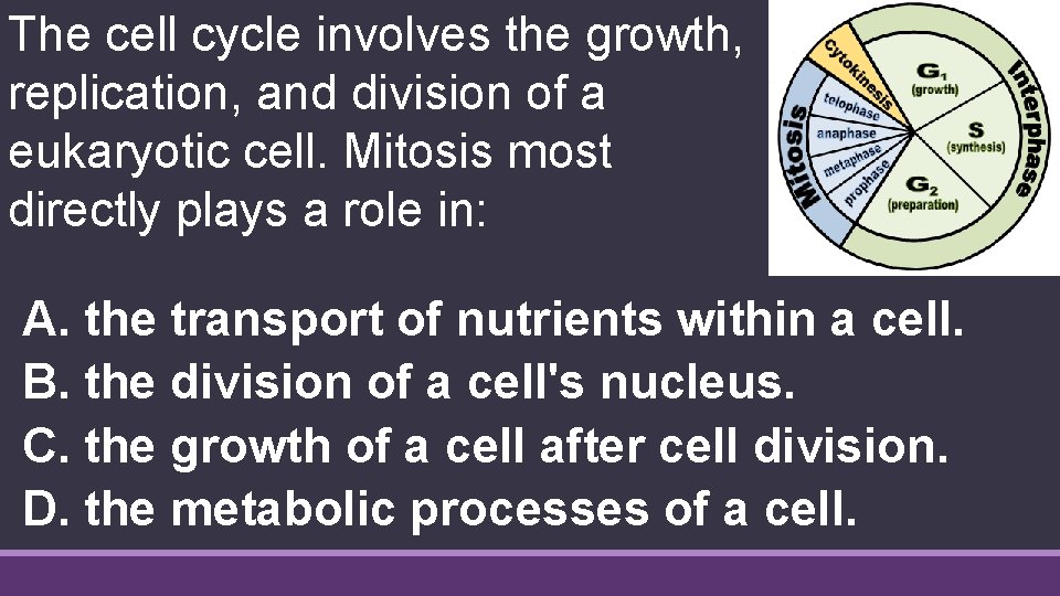 The cell cycle involves the growth, replication, and division of a eukaryotic cell. Mitosis