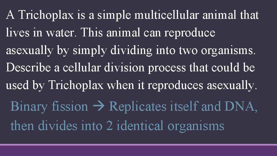 A Trichoplax is a simple multicellular animal that lives in water. This animal can
