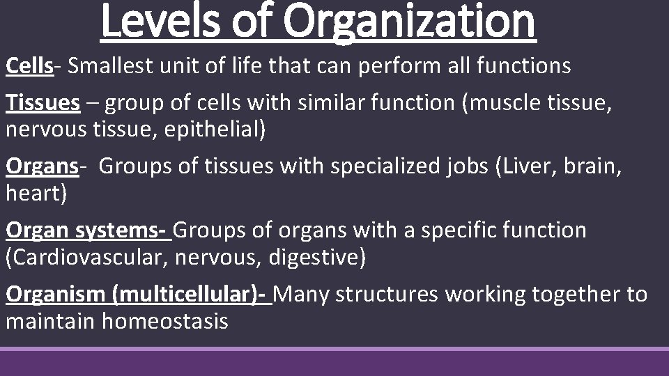 Levels of Organization Cells- Smallest unit of life that can perform all functions Tissues