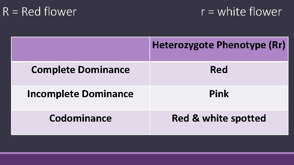 R = Red flower r = white flower Heterozygote Phenotype (Rr) Complete Dominance Red