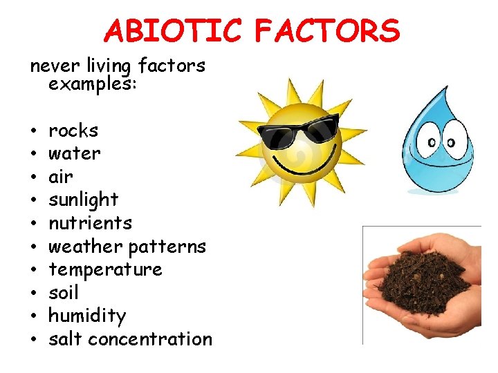 ABIOTIC FACTORS never living factors examples: • • • rocks water air sunlight nutrients