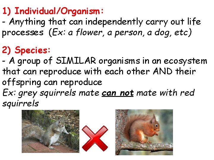 1) Individual/Organism: - Anything that can independently carry out life processes (Ex: a flower,