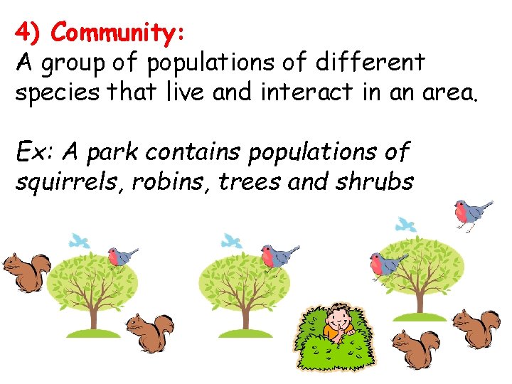 4) Community: A group of populations of different species that live and interact in