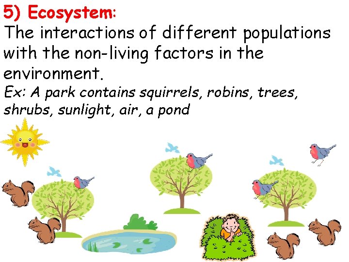 5) Ecosystem: The interactions of different populations with the non-living factors in the environment.