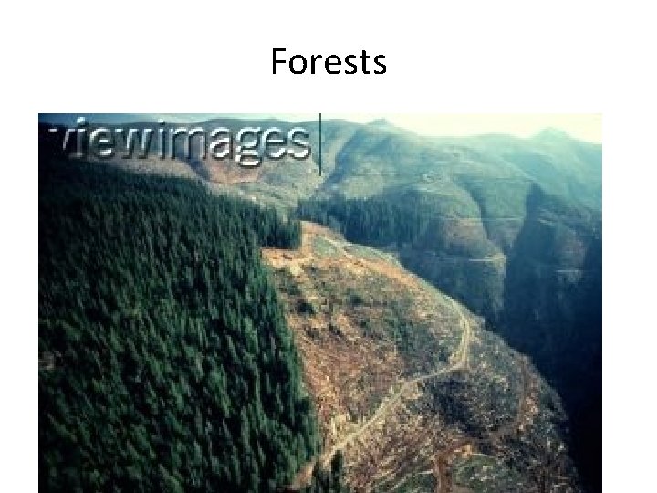 Forests 