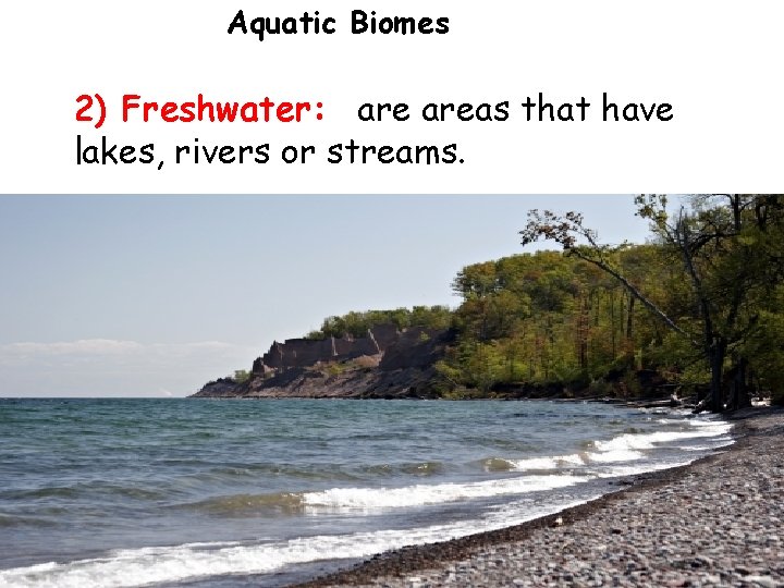 Aquatic Biomes 2) Freshwater: areas that have lakes, rivers or streams. 