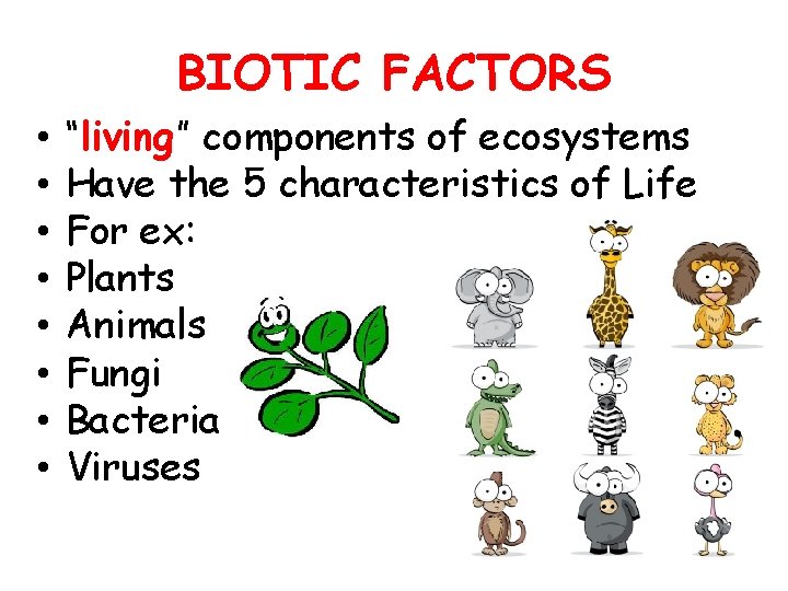 BIOTIC FACTORS • • “living” components of ecosystems Have the 5 characteristics of Life