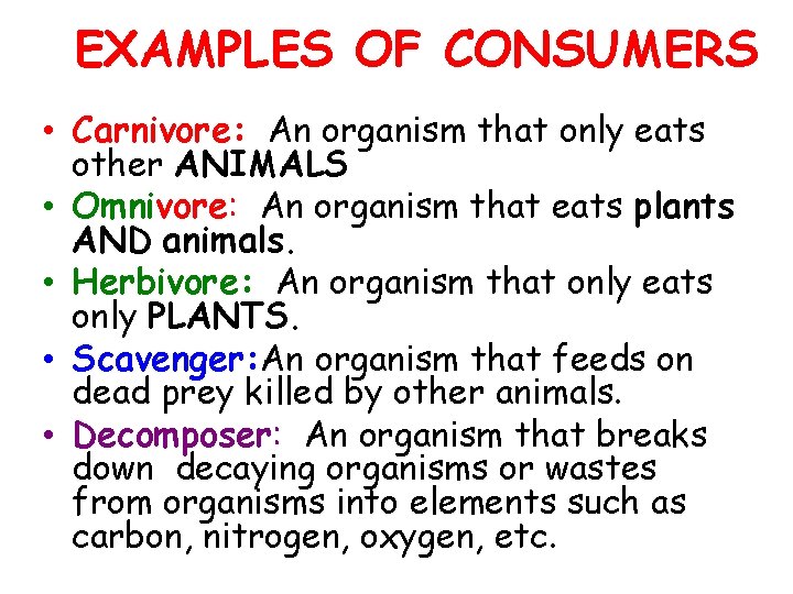 EXAMPLES OF CONSUMERS • Carnivore: An organism that only eats other ANIMALS • Omnivore: