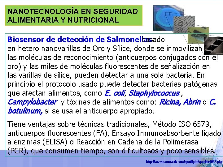 NANOTECNOLOGÍA EN SEGURIDAD ALIMENTARIA Y NUTRICIONAL Biosensor de detección de Salmonellas basado en hetero