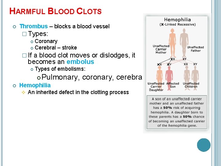 HARMFUL BLOOD CLOTS Thrombus – blocks a blood vessel � Types: Coronary Cerebral –