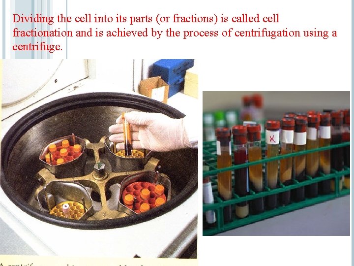 Dividing the cell into its parts (or fractions) is called cell fractionation and is