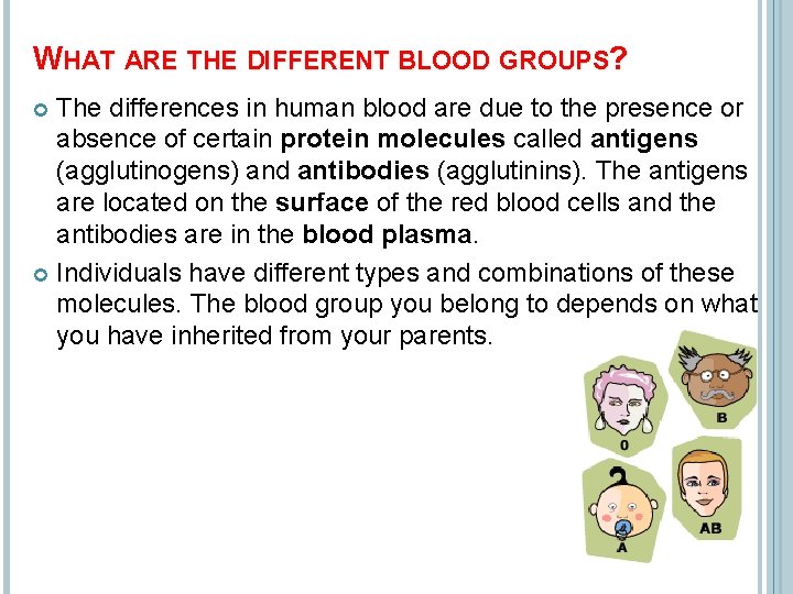 WHAT ARE THE DIFFERENT BLOOD GROUPS? The differences in human blood are due to