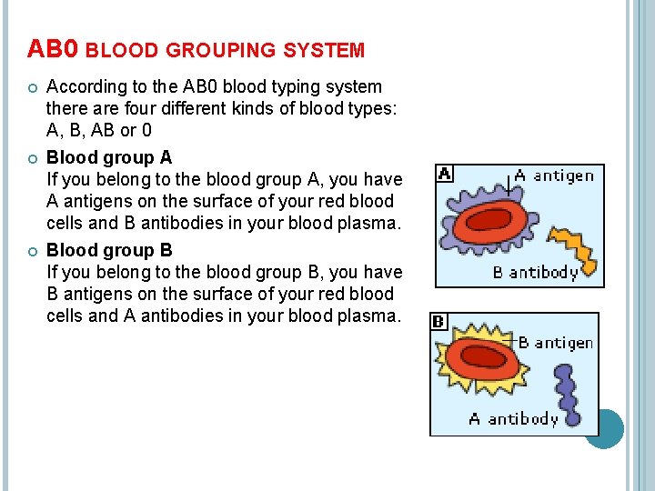 AB 0 BLOOD GROUPING SYSTEM According to the AB 0 blood typing system there