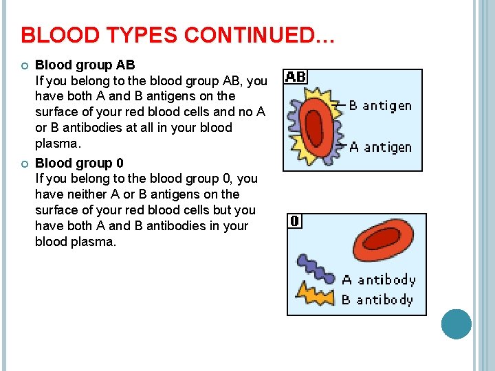 BLOOD TYPES CONTINUED… Blood group AB If you belong to the blood group AB,