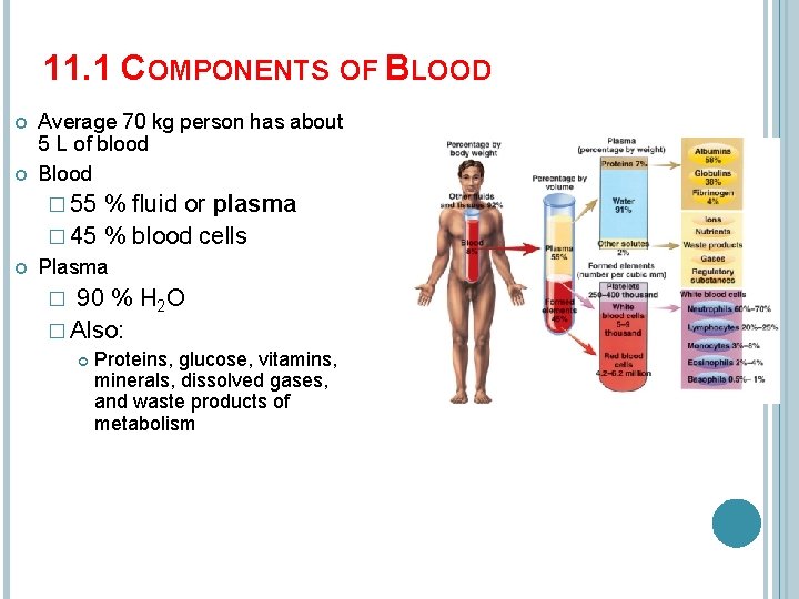 11. 1 COMPONENTS OF BLOOD Average 70 kg person has about 5 L of