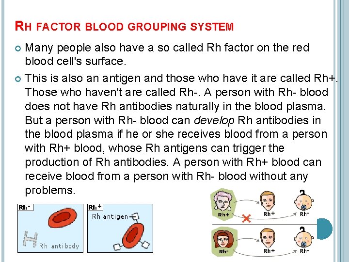 RH FACTOR BLOOD GROUPING SYSTEM Many people also have a so called Rh factor