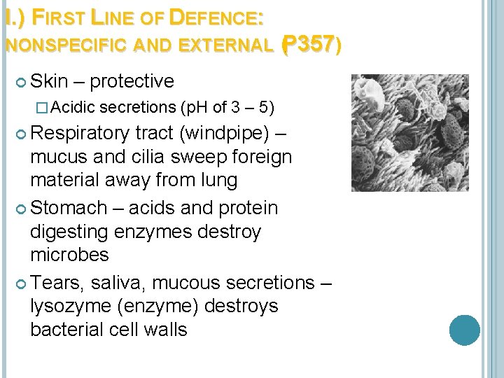 I. ) FIRST LINE OF DEFENCE: NONSPECIFIC AND EXTERNAL (P 357) Skin – protective