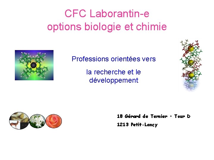 CFC Laborantin-e options biologie et chimie Professions orientées vers la recherche et le développement