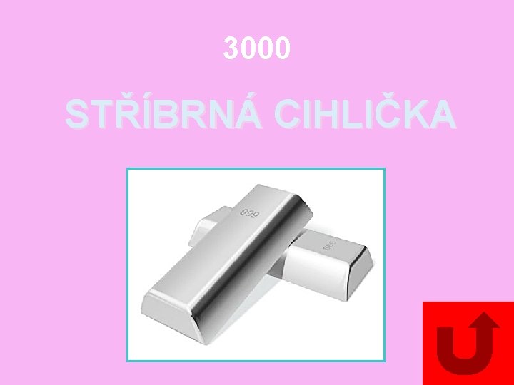 3000 STŘÍBRNÁ CIHLIČKA 