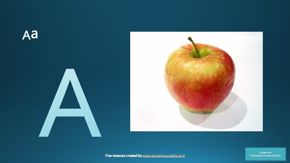 www. education 4 adults. com Images from Free. Images. com/Jean. Scheiden 