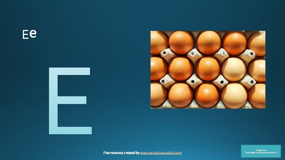 www. education 4 adults. com Images from Free. Images. com/Marie. Jeanne. Lliescu 