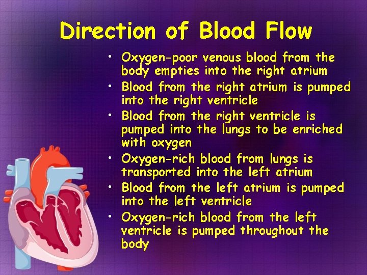 Direction of Blood Flow • Oxygen-poor venous blood from the body empties into the Direction of Blood Flow • Oxygen-poor venous blood from the body empties into the