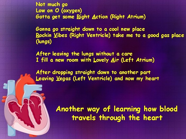 Not much go Low on O (oxygen) Gotta get some Right Action (Right Atrium) Not much go Low on O (oxygen) Gotta get some Right Action (Right Atrium)