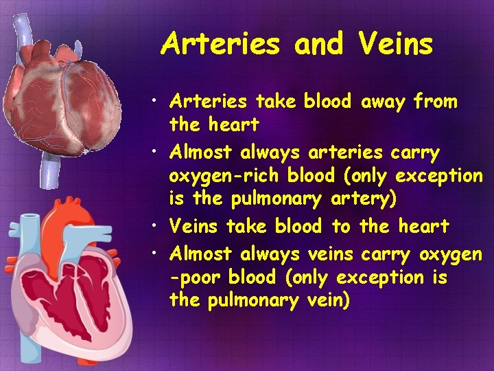 Arteries and Veins • Arteries take blood away from the heart • Almost always Arteries and Veins • Arteries take blood away from the heart • Almost always