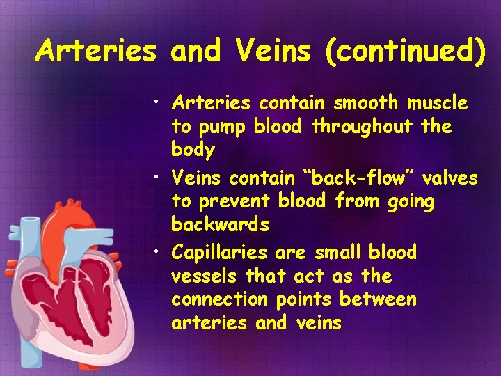 Arteries and Veins (continued) • Arteries contain smooth muscle to pump blood throughout the Arteries and Veins (continued) • Arteries contain smooth muscle to pump blood throughout the