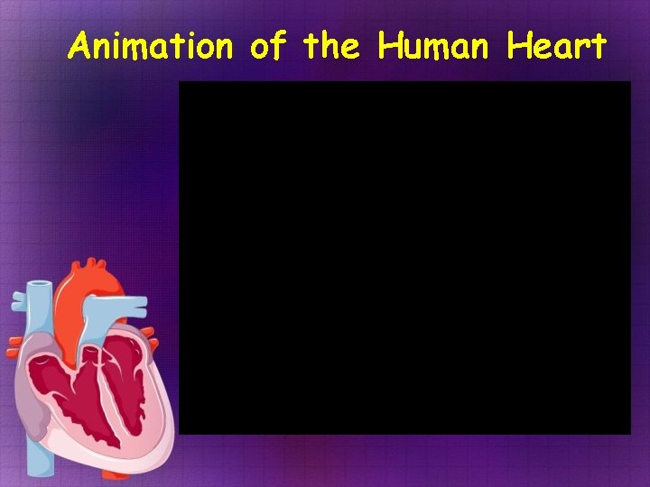 Animation of the Human Heart  Animation of the Human Heart