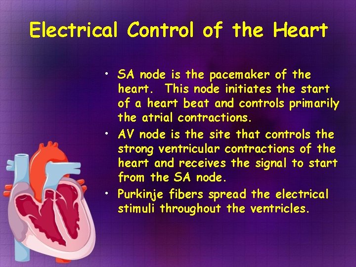 Electrical Control of the Heart • SA node is the pacemaker of the heart. Electrical Control of the Heart • SA node is the pacemaker of the heart.