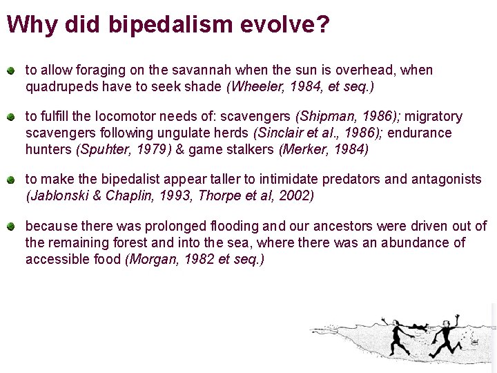 Why did bipedalism evolve? to allow foraging on the savannah when the sun is