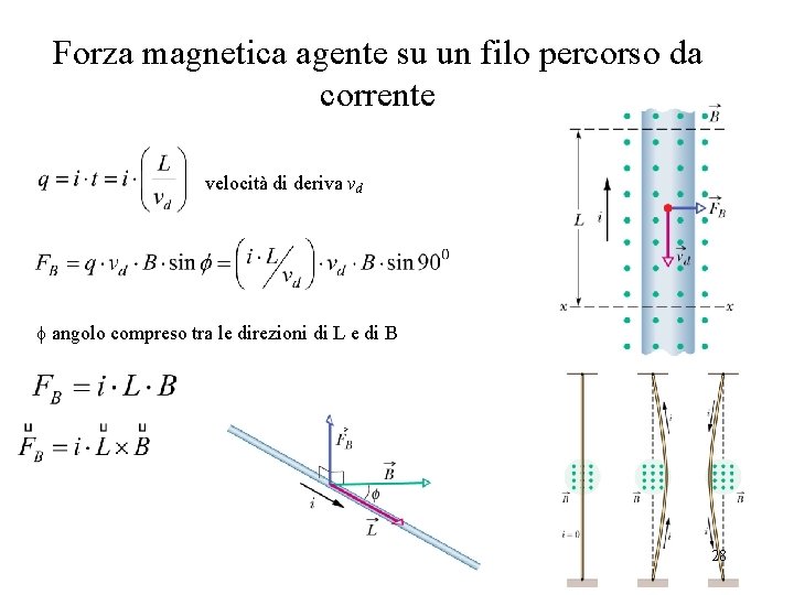 Forza magnetica agente su un filo percorso da corrente velocità di deriva vd f