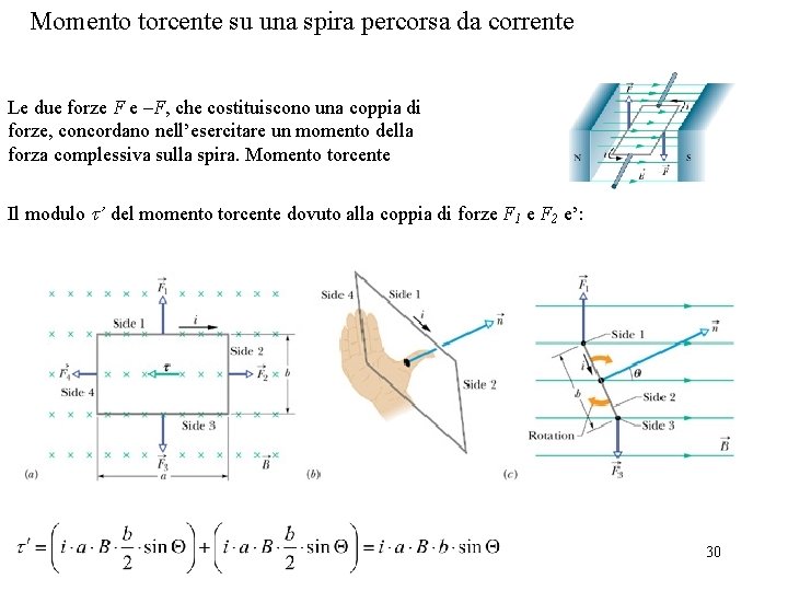 Momento torcente su una spira percorsa da corrente Le due forze F e –F,