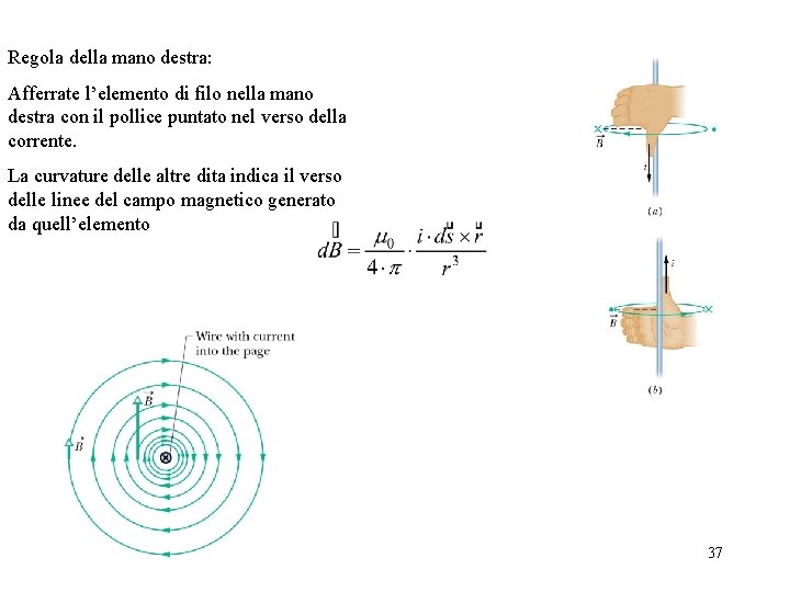 Regola della mano destra: Afferrate l’elemento di filo nella mano destra con il pollice