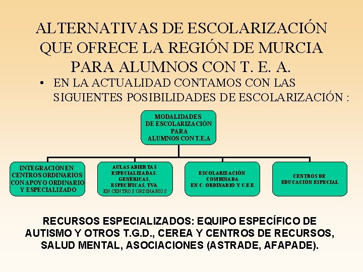 ALTERNATIVAS DE ESCOLARIZACIÓN QUE OFRECE LA REGIÓN DE MURCIA PARA ALUMNOS CON T. E.