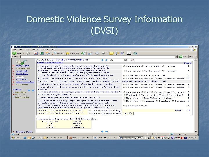 Domestic Violence Survey Information (DVSI) 