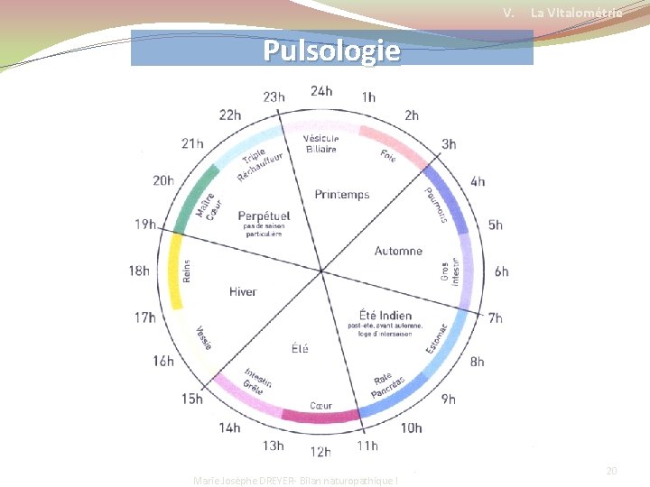 V. La VItalométrie Pulsologie 2010 Marie Josèphe DREYER- Bilan naturopathique I 20 