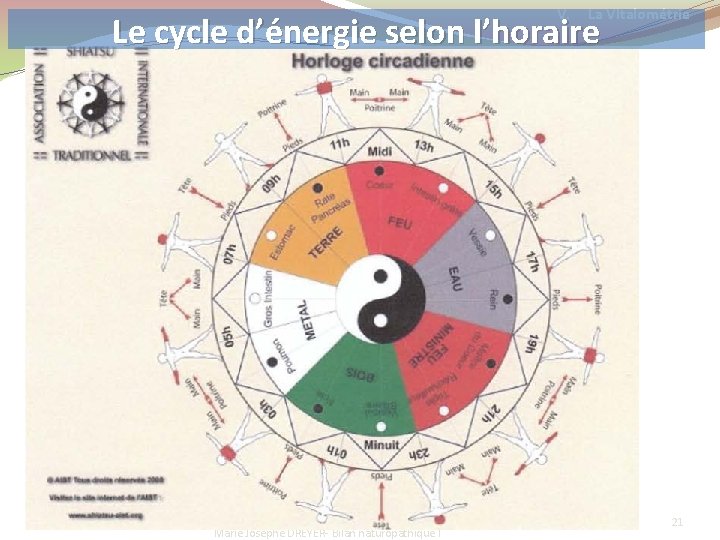 V. La VItalométrie Le cycle d’énergie selon l’horaire 2010 Marie Josèphe DREYER- Bilan naturopathique