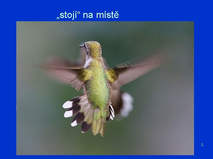 „stojí“ na místě 3. 