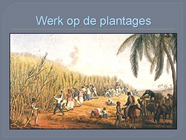 Werk op de plantages 